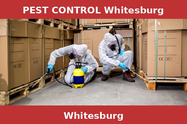 PEST CONTROL Whitesburg
